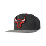 Men's Chicago Bulls Mitchell & Ness Perforated Suede Snapback Hat - Grey