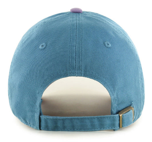 Mighty Ducks Of Anaheim '47 Clean Up