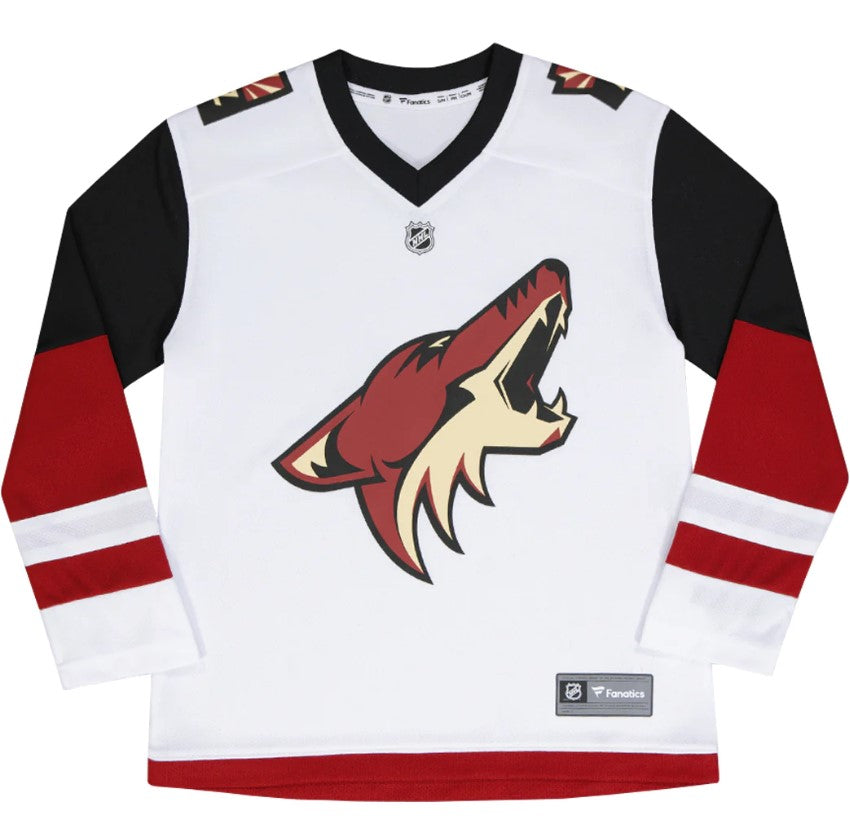 Men's Arizona Coyotes Fanatics Branded Black 2021/22 Home Breakaway Jersey