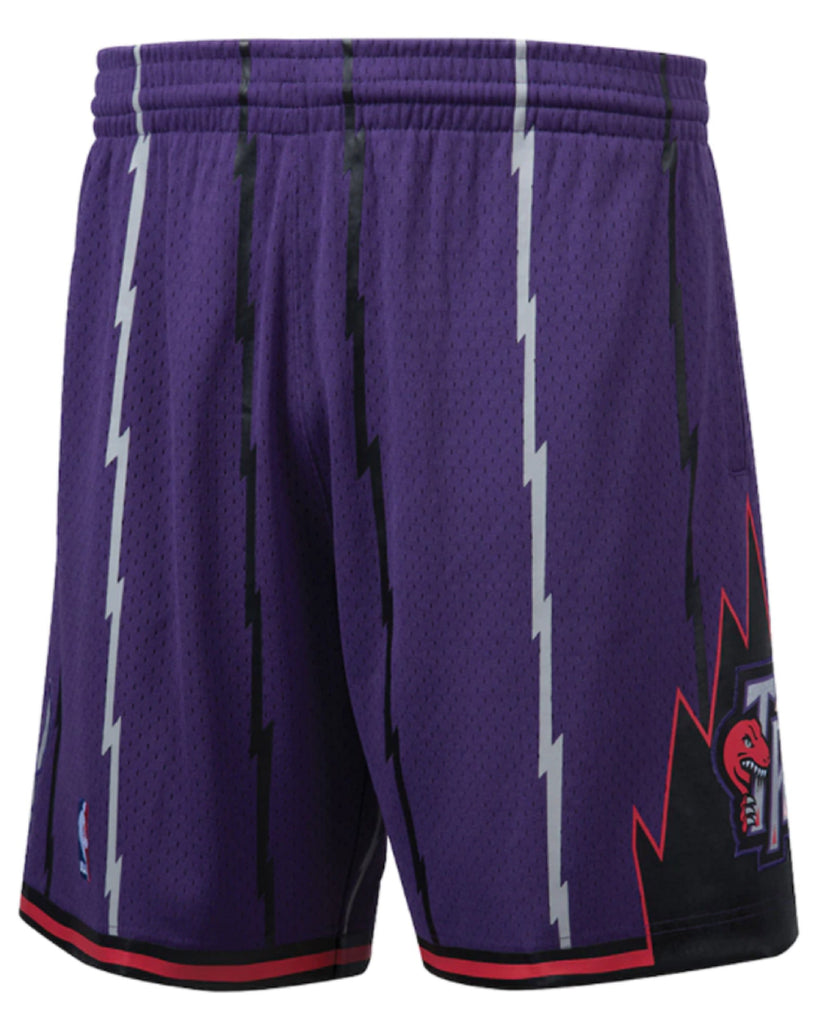 Toronto raptors shorts purple top