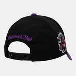 Men's Vince Carter Toronto Raptors Mitchell & Ness Black/Purple Special Edition Snapback Hat