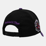 Men's Vince Carter Toronto Raptors Mitchell & Ness Black/Purple Special Edition Snapback Hat