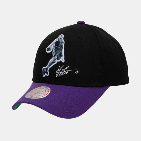 Men's Vince Carter Toronto Raptors Mitchell & Ness Black/Purple Special Edition Snapback Hat