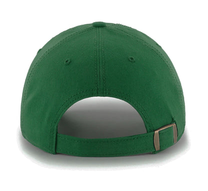 Minnesota North Stars NHL Vintage Blue Line Cap - American Needle