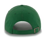Minnesota North Stars NHL Vintage Blue Line Cap - American Needle